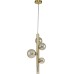 Подвесная люстра Indigo Canto 11026/5P Gold V000245