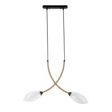 Подвесной светильник Indigo Fiore 13001/2P Black V000140