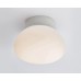 Настенно-потолочный светильник Italline DL 3030 white