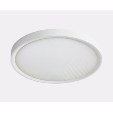 Потолочный светильник Italline IT011-5024 white