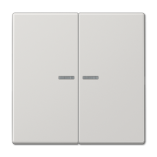 Клавиша 2-ная с 2-мя линзами Jung LS990 LS995KO5LG