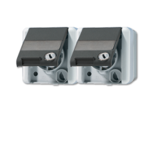 Розетка Schuko двухместная Jung 8220NAWSL