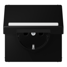 Розетка Schuko с крышкой Jung LS1520BFNAKLSWM