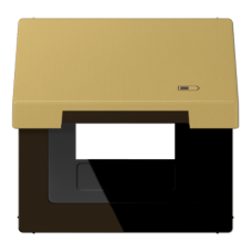 Рамка с подпружиненной крышкой для USB-механизмов Jung ME2990KLUSBC