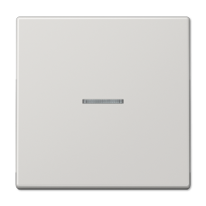 Клавиша 1-ная с линзой Jung LS990 LS990KO5LG