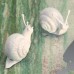 Аксессуар Karman Va-Lentina Snail