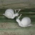 Аксессуар Karman Va-Lentina Snail