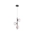 Подвесной светильник Kink Light Иона 09408-3A,19