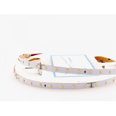 Лента светодиодная LEDS POWER LUX160 006024 (5 м.)