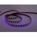 Лента светодиодная LEDS POWER STANDART 004143