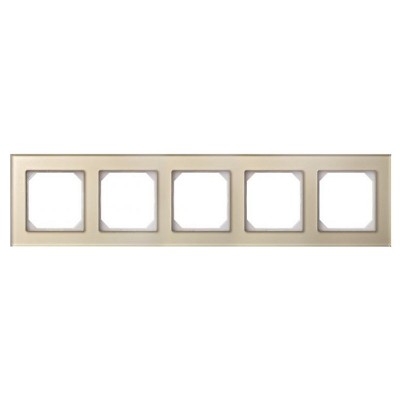 Рамка на 5 постов LIREGUS EPSILON 28-265