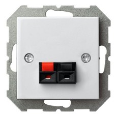 Розетка акустическая без рамки LIREGUS EPSILON 28-036