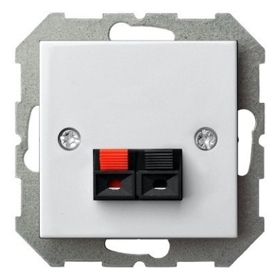 Розетка акустическая без рамки LIREGUS EPSILON 28-036