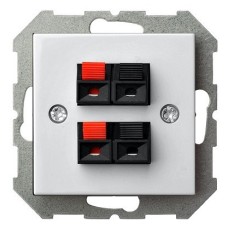 Розетка акустическая без рамки LIREGUS EPSILON 28-037