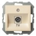 ТВ-розетка оконечная без рамки LIREGUS EPSILON 28-072