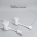 Гирлянда Белт-Лайт Laitcom (LTC) BL10m/25L-8