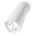 Потолочный светильник Leucos SYDNEY 13 PL Aluminium
