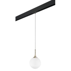 Трековый светильник Lightstar Globo PRO813023 (813023+595007)