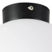 Потолочный светильник Lightstar Globo 812027