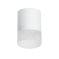 Накладной светильник Lightstar Rullo (213486+202481) R348681