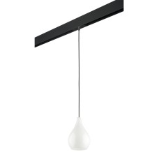 Трековый светильник Lightstar Pentola PRO803030 (803030+595007)
