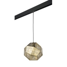 Трековый светильник Lightstar Fermo PRO724112 (724112+595007)