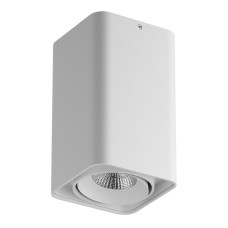 Потолочный светодиодный светильник Lightstar Monocco 052136