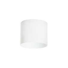 Накладной светильник Lightstar Rullo 213486