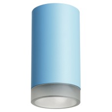 Накладной светильник Lightstar Rullo R43530 (214435+202430)