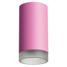 Накладной светильник Lightstar Rullo R43230 (214432+202430)