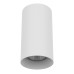 Потолочный светильник Lightstar Rullo 216486