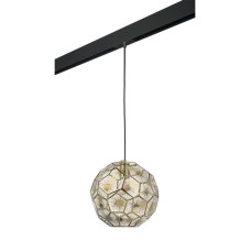 Трековый светильник Lightstar Fermo PRO724212 (724212+595007)
