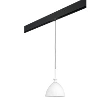 Трековый светильник Lightstar Agola PRO810020 (810020+595007)