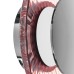 Настенно-потолочный светильник Lightstar Celesta 809022