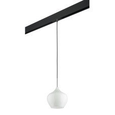 Трековый светильник Lightstar Pentola PRO803040 (803040+595007)