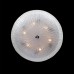 Потолочный светильник Lightstar Zucche 820860