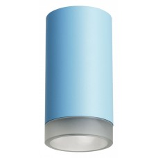 Накладной светильник Lightstar Rullo R43530
