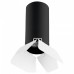 Накладной светильник Lightstar Rullo R487436
