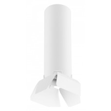 Накладной светильник Lightstar Rullo R496436