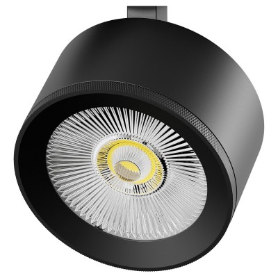 Плафон металлический Lightstar Alta Pro 215547