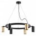 Подвесная люстра Lightstar Rullo LR016403373