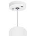 Подвесной светильник Lightstar Rullo RP6486487