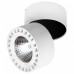 Спот Lightstar Forte IP65 381363
