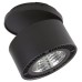 Спот Lightstar Forte Inca 213847