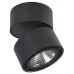 Спот Lightstar Forte Muro 213857