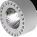 Светильник на штанге Lightstar Forte IP65 381393