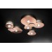 Потолочный светильник Lodes Bugia Double Chrome