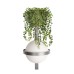 Настенный светильник Loft IT Jardin 10121W/B Dark grey