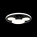 Потолочный светильник Loft IT Mike 10165