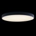 Потолочный светильник Loft IT AXEL 10002/48 Black
